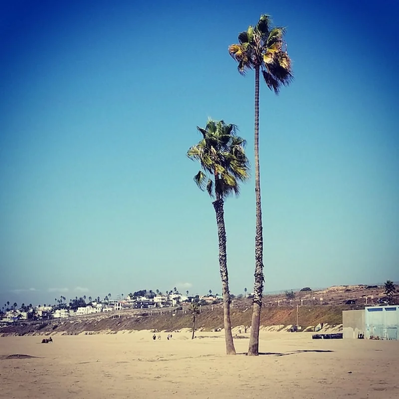 Egipt: Ile stopni w grudniu? Sprawdź pogodę i temperatury