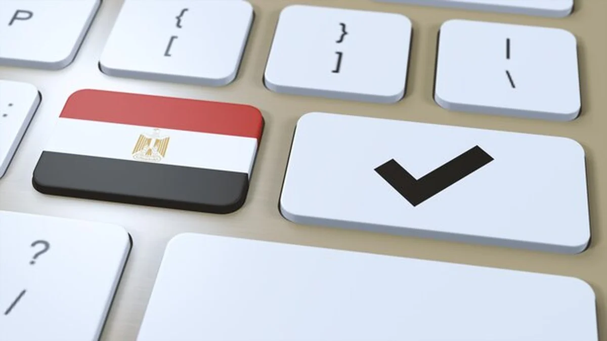 Flaga narodowa Egiptu i znak sprawdzający 3D ilustracja