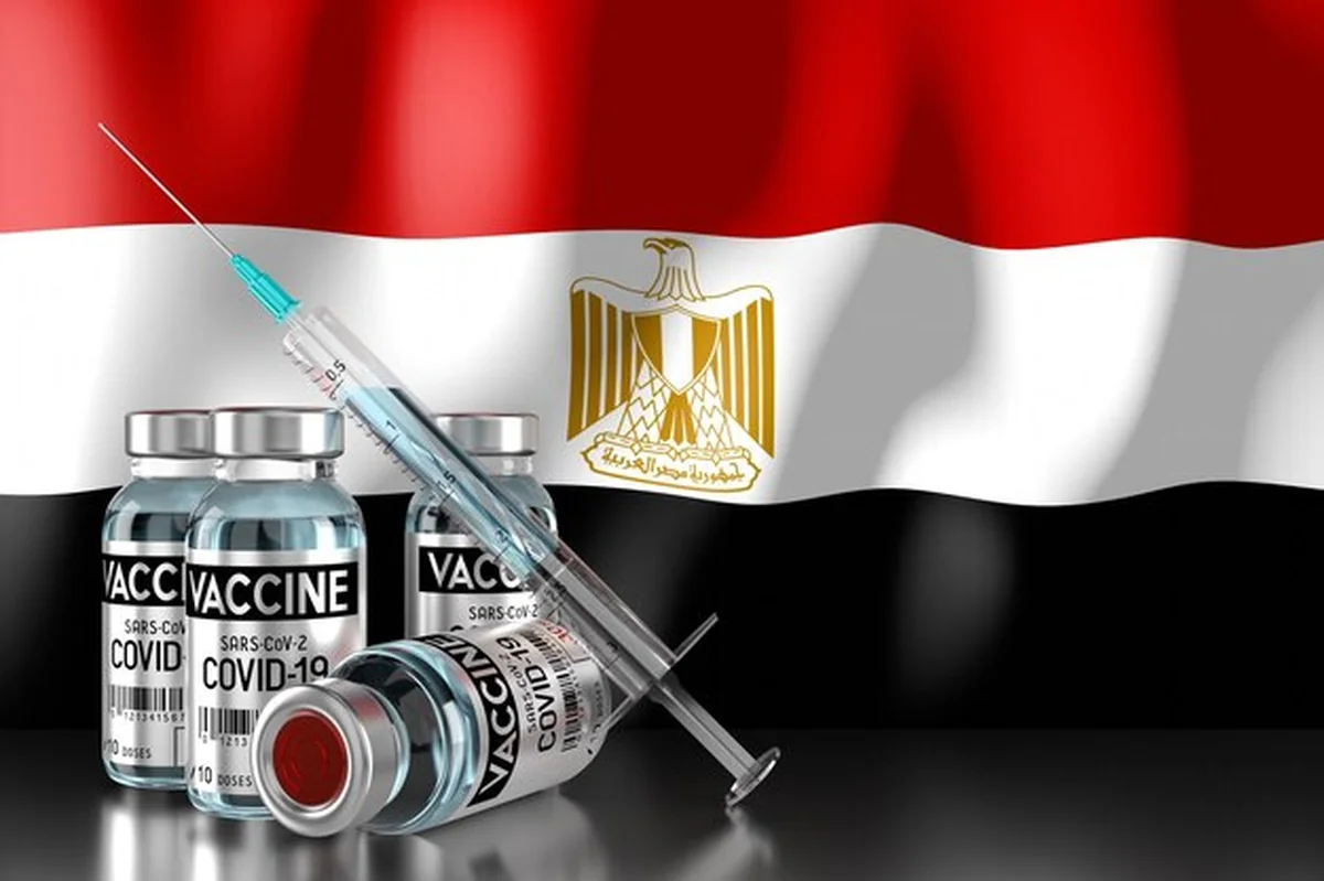 Program szczepień w Egipcie - cztery fiolki i strzykawka ilustracja 3D