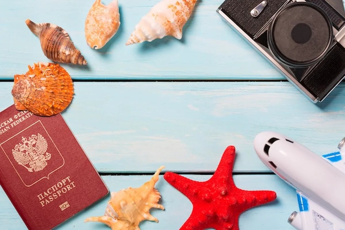 Muszelki z paszportem, samolotem i aparatem na drewnianym stole
