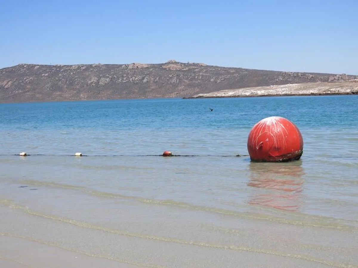 Malowniczy widok na morze na tle czystego nieba