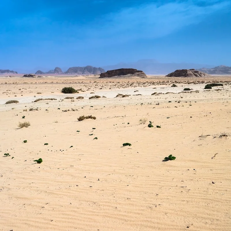 Wadi El Gemal National Park – przewodnik po Marsa Alam
